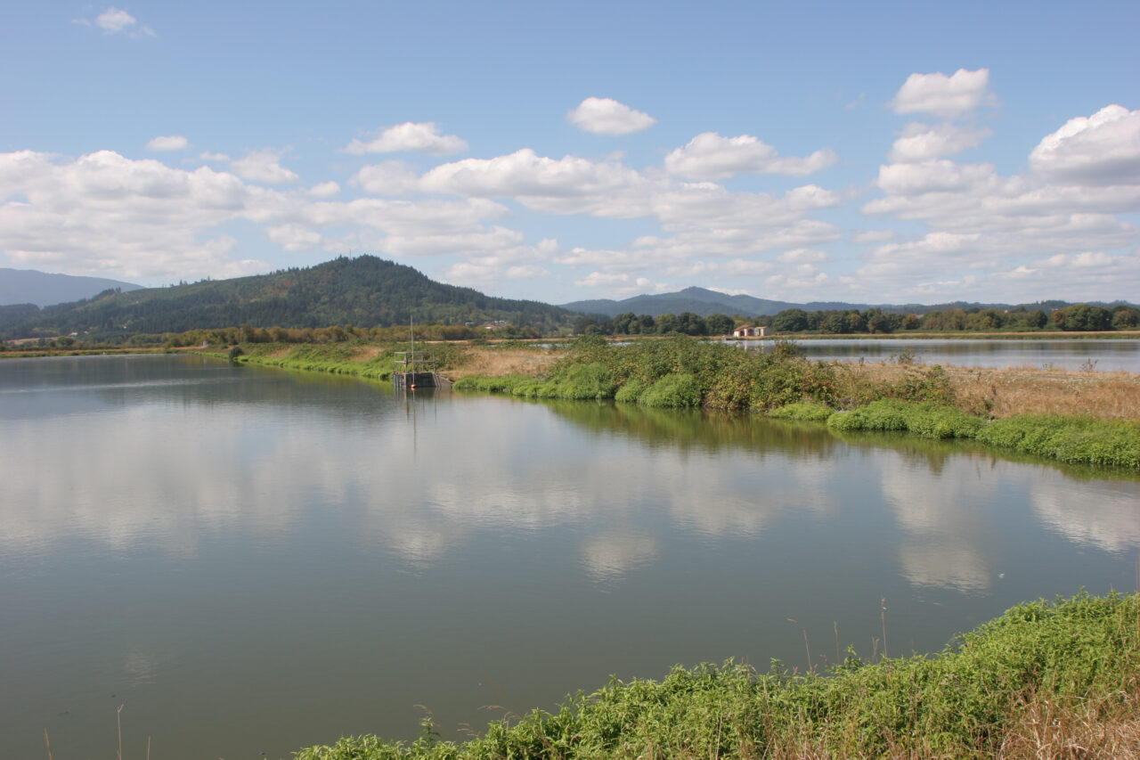 Waste Lagoon Liners